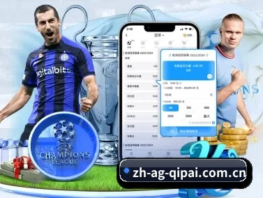 ag棋牌娱乐平台 APP 界面