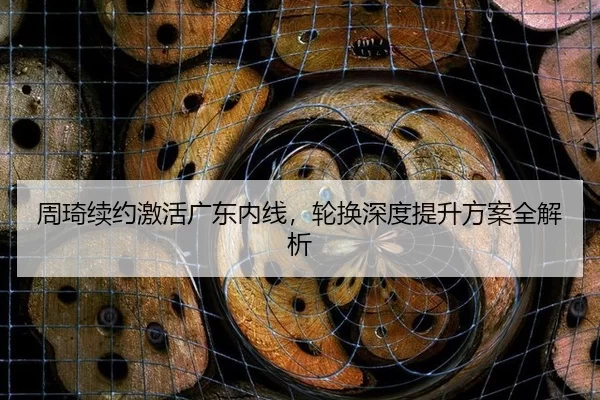 zhou-qi-xu-yue-ji-huo-guang-dong-nei-xian-lun-huan-shen-du-ti-sheng-fang-an-quan-jie-xi-3-430.jpg