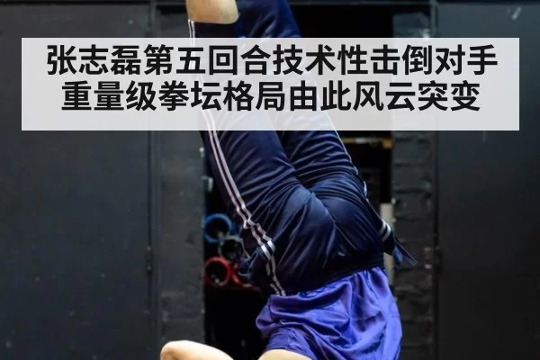 张志磊第五回合技术性击倒对手重量级拳坛格局由此风云突变