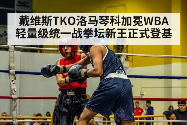 戴维斯TKO洛马琴科加冕WBA轻量级统一战拳坛新王正式登基